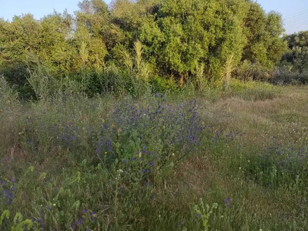 Piso de 60 m² en Vejer de la Frontera
