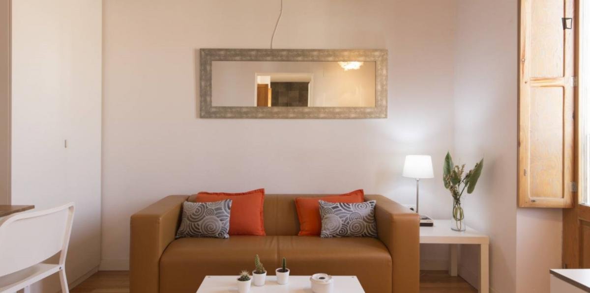 Pis de 36 m² a Madrid