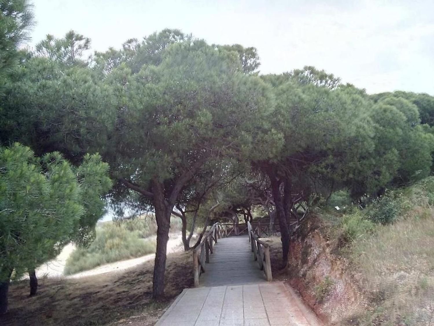 Appartamento 80 m² a Cartaya