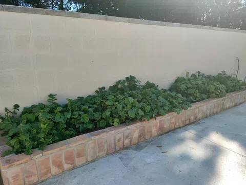 Apartamento 60 m² em Chiclana de la Frontera
