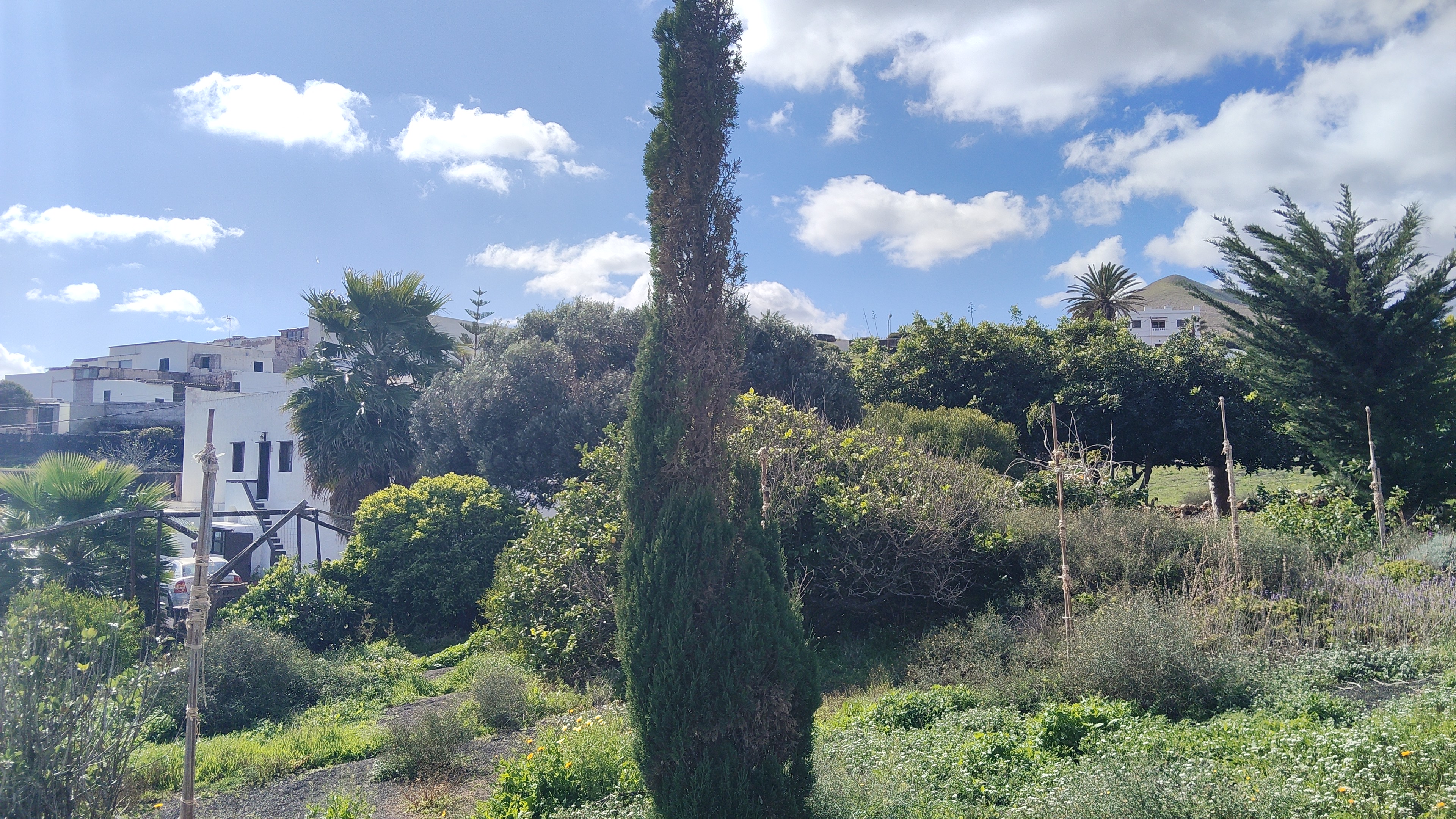 Habitació de lloguer, Teguise