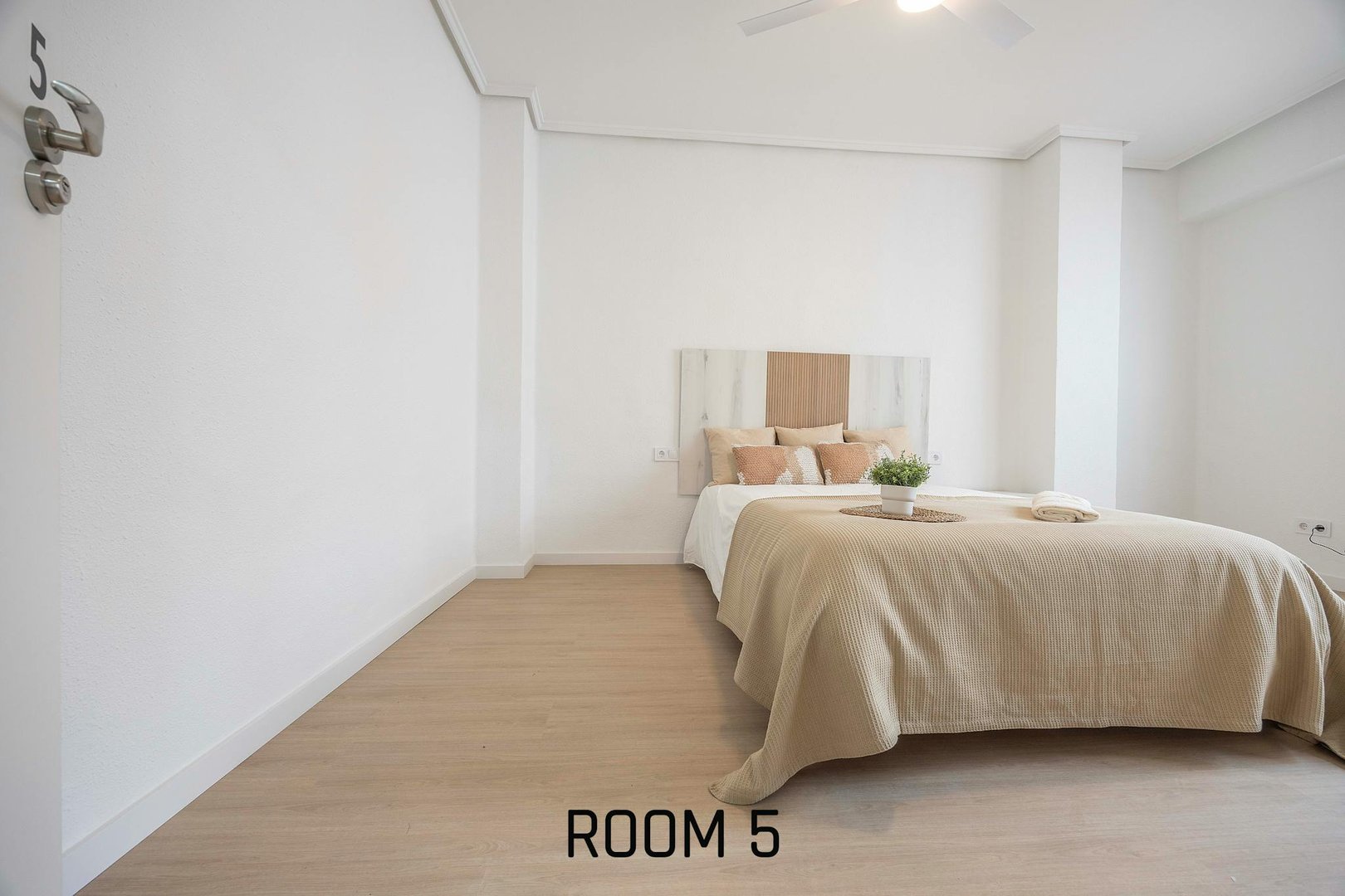 Habitació de lloguer, València