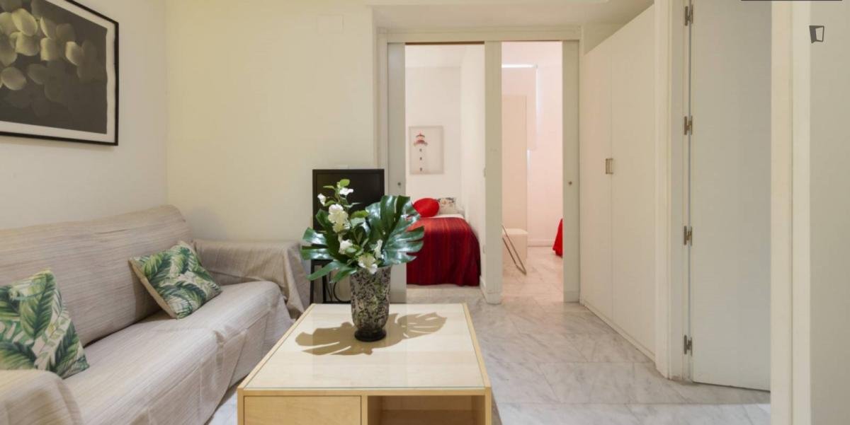 Pis de 35 m² a Madrid