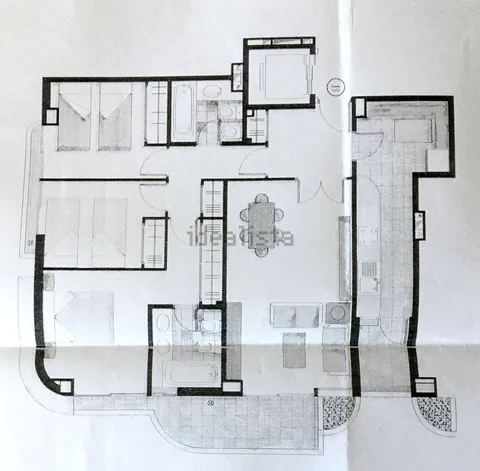 Planta