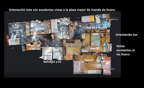 Planta