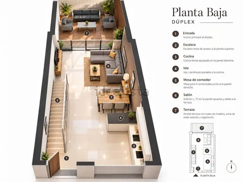 Planta